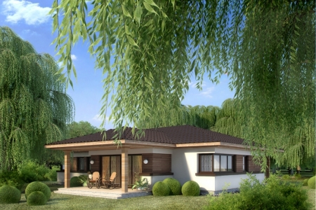 ������ ���� �Adomas�