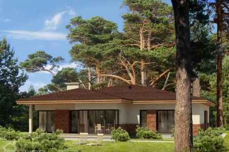  ������ ���� �Alina� #2