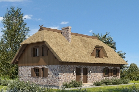  ������ ���� �Jonas� #2