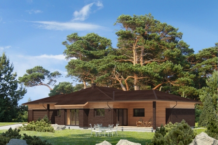  ������ ���� �Raimondas 1� #3