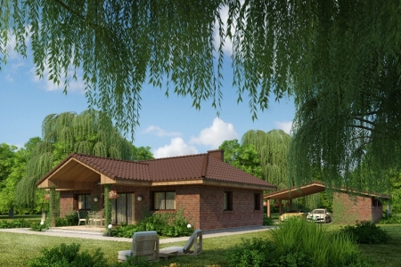 ������ ���� �Rokas�